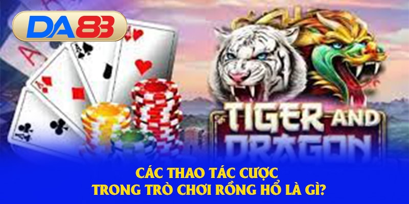 Các thao tác cược trong trò chơi Rồng Hổ là gì?