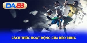 Cách thức hoạt động của kèo rung