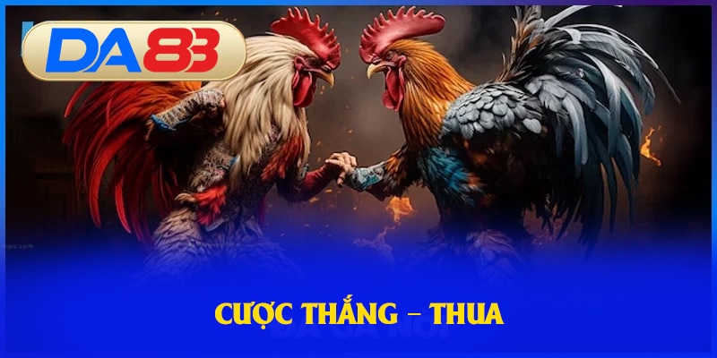 Cược thắng thua yêu cầu bạn phải theo dõi kỹ lưỡng các yếu tố