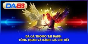 Tổng quan và đánh giá về đá gà 