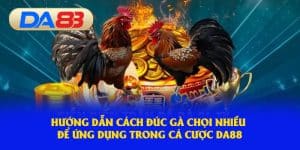 Hướng dẫn đúc gà chọi nhiều để áp dụng tại nhà cái 