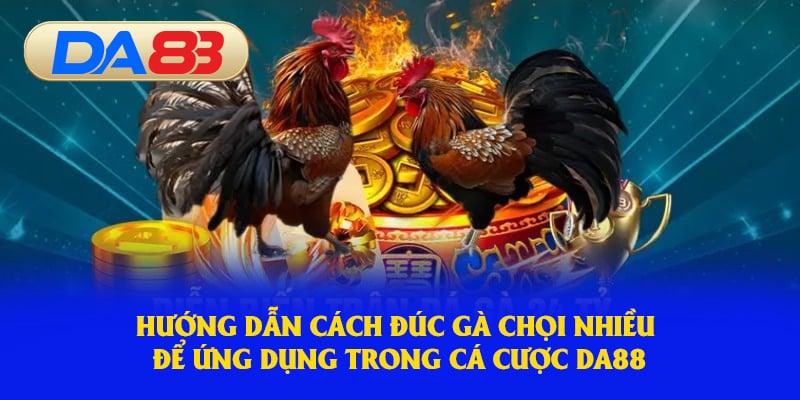 Hướng dẫn đúc gà chọi nhiều để áp dụng tại nhà cái 