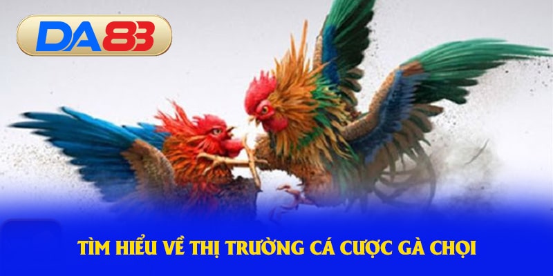 Tìm hiểu về thị trường cá cược gà chọi