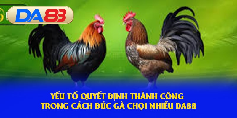 Yếu tố thành công trong khi đúc gà tại nhà cái 